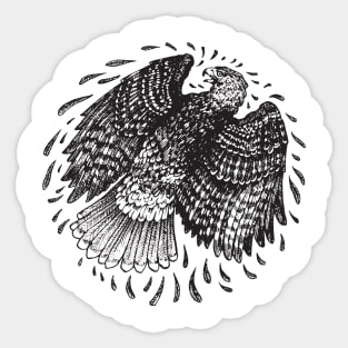 Hawk Sticker